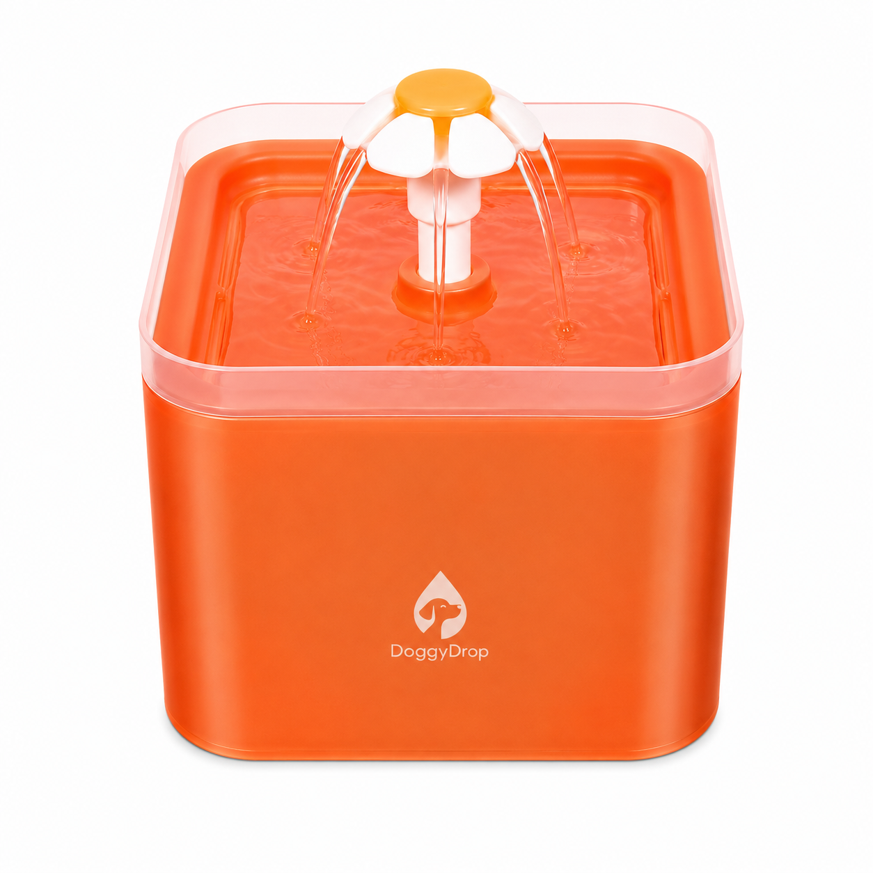 Gefilterter Wasserspender