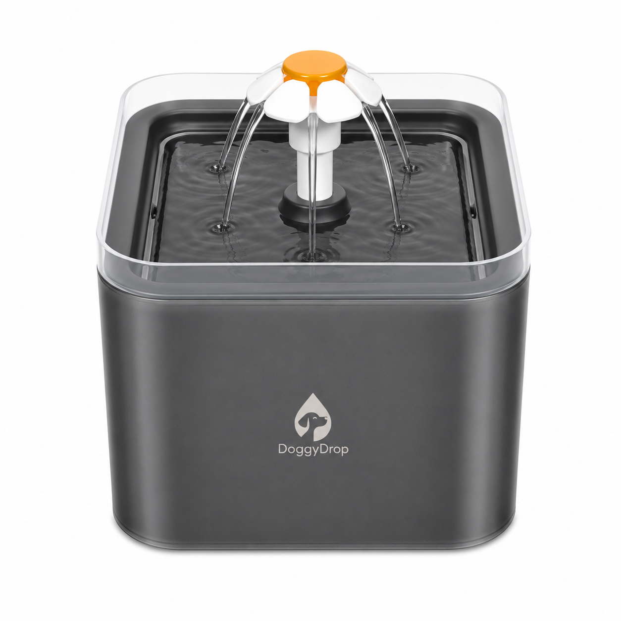 Gefilterter Wasserspender